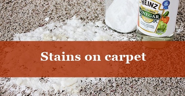 Pet-Carpet-Stains