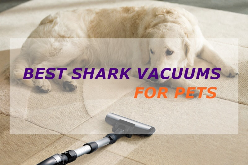 Best Shark vacuum for pets (dog hair, pet foods removal)