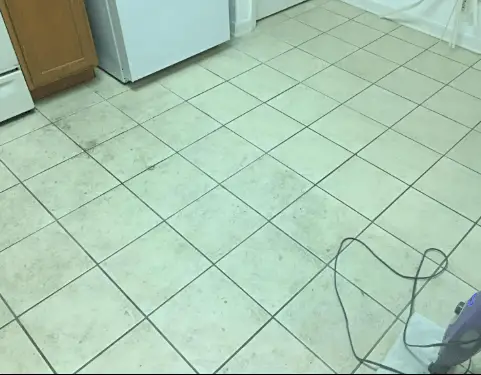 Shark Steam Pocket Mop S3501 cleaning result before vs after