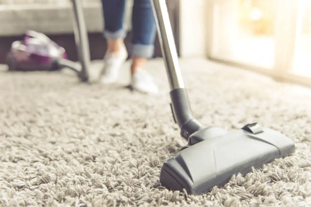 Best Vacuum for High Pile Carpets
