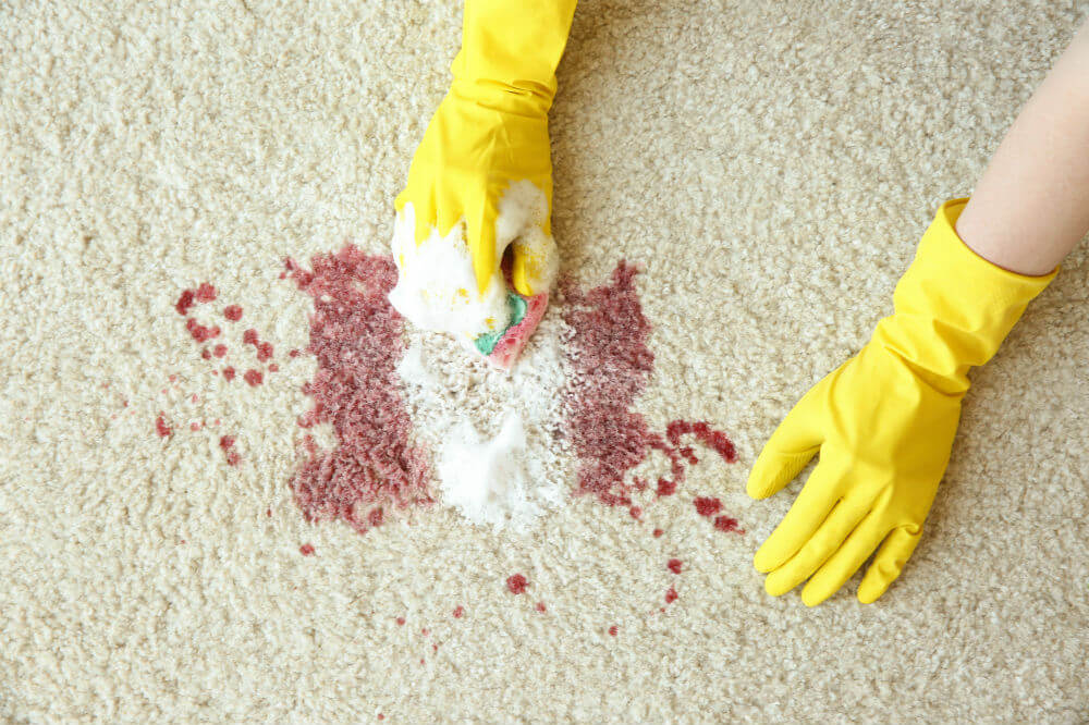 How to Get Blood Out of Carpets