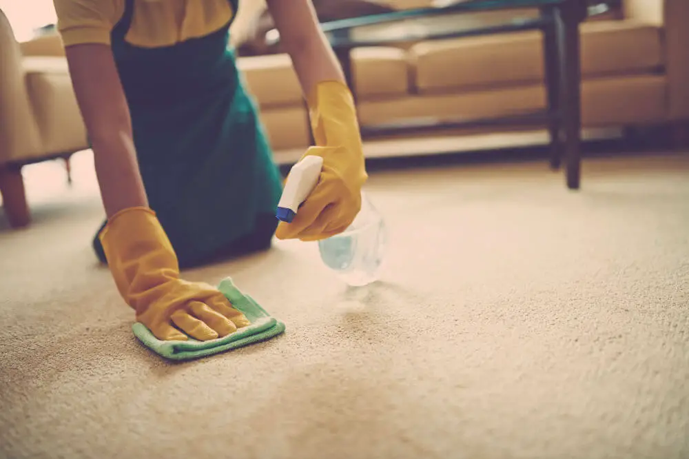 How to Get Slime Out of Carpets
