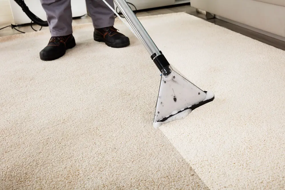 Bissell Big Green Carpet Cleaner Review