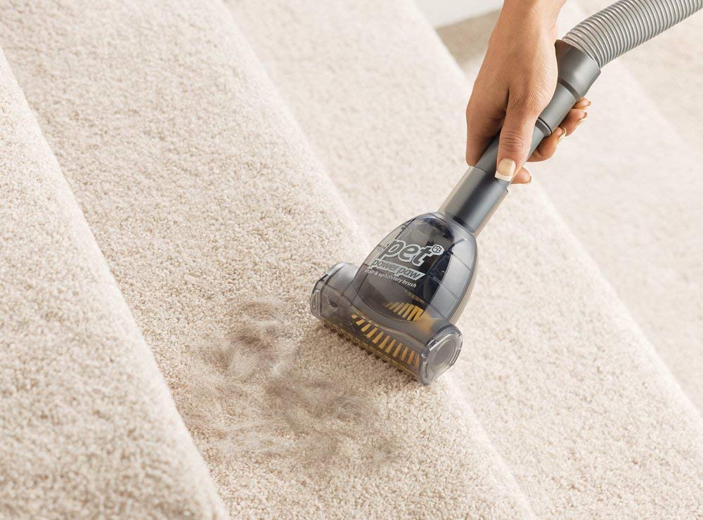 Best canister vacuum for pet hair Buying guide & reviews (2019)