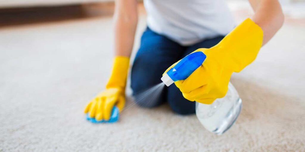 Best Carpet Cleaner Spray and Stain Removers 2022 Carpet Cleaners