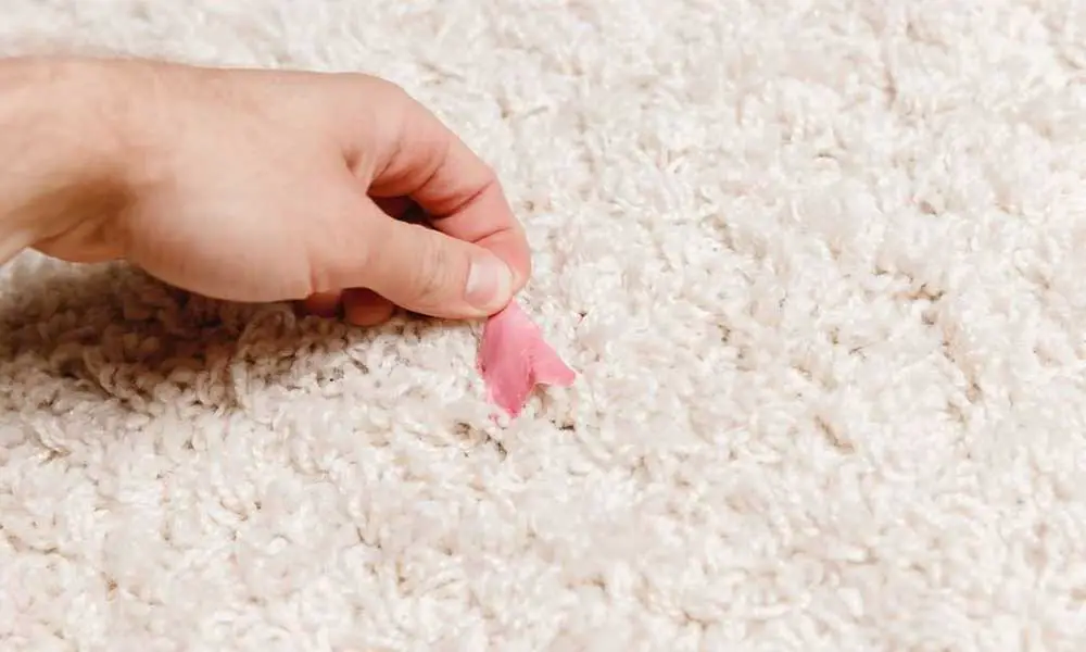 clean-carpet-chewing-gum