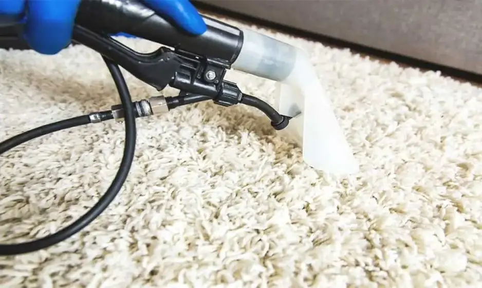 professional-wool-rug-cleaners